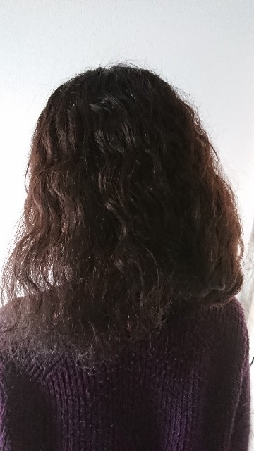 f:id:goldenmilk:20190124184823j:plain