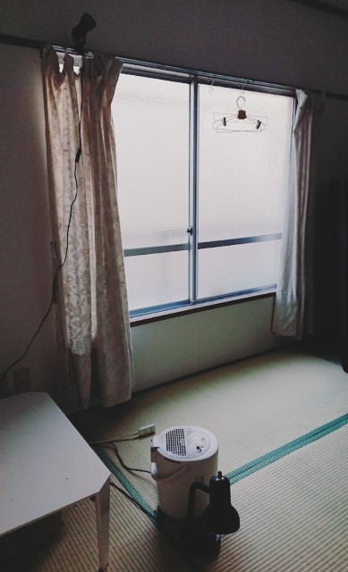 f:id:goldenmilk:20190127200718j:image