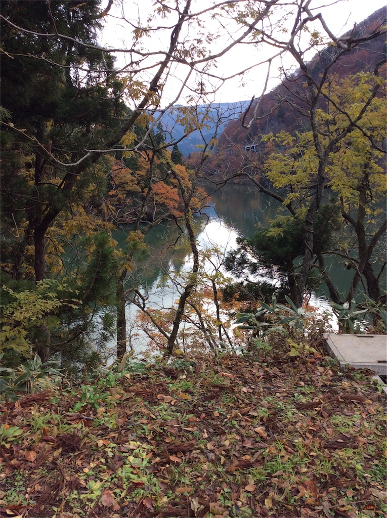 f:id:goldenmilk:20191123162550j:image