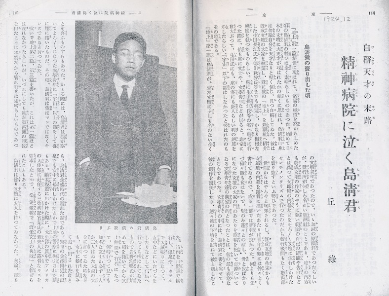 島田清次郎「地上」全巻セット 重版 大正 古書 古本 明治 昭和 文アル 地上(島田清次郎) / 古本、中古本、古書籍の通販は「日本の