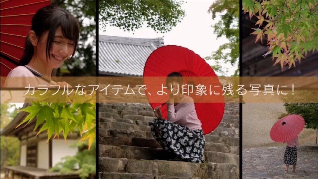 f:id:goldensnail:20181203062404j:plain