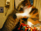 f:id:goldhead:20020216011146:image:small