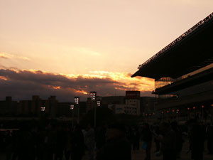 f:id:goldhead:20051230141831j:image