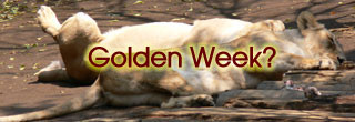 f:id:goldhead:20070427193618j:image
