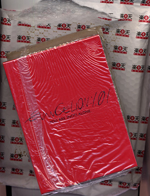 f:id:goldhead:20080425120432j:image:left