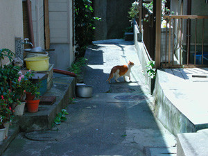 f:id:goldhead:20081212171536j:image