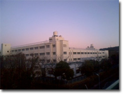 f:id:goldhead:20081225201247j:image:left