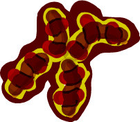f:id:goldhead:20081227204006j:image:right