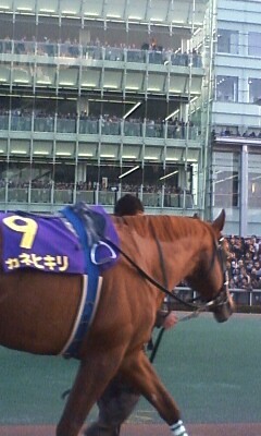 f:id:goldhead:20081229161541j:image