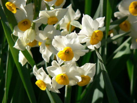 f:id:goldhead:20090102172034j:image
