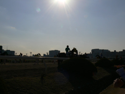 f:id:goldhead:20090106133508j:image