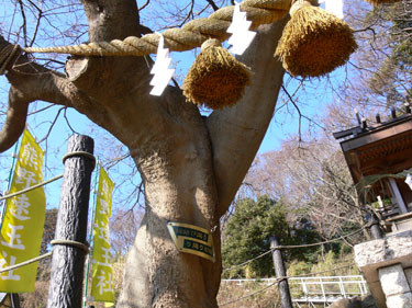 f:id:goldhead:20090108123820j:image f:id:goldhead:20090108123820j:image