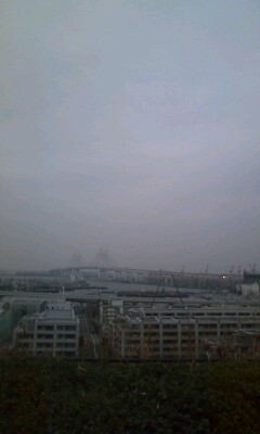 f:id:goldhead:20090204085006j:image:left f:id:goldhead:20090204085006j:image:left