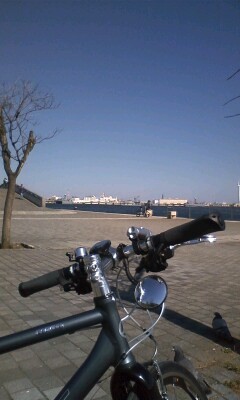 f:id:goldhead:20090209161655j:image:right