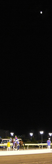 f:id:goldhead:20090209175555j:image:left