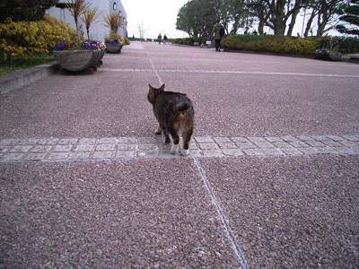f:id:goldhead:20090213112557j:image f:id:goldhead:20090213112557j:image