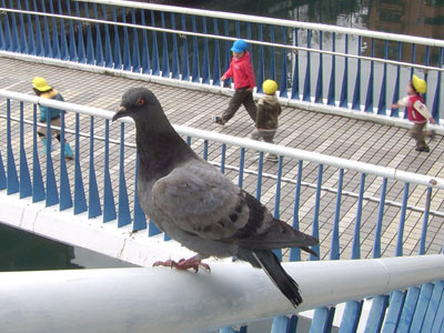f:id:goldhead:20090316150627j:image:right f:id:goldhead:20090316150627j:image:right