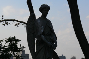 f:id:goldhead:20090318114353j:image:left f:id:goldhead:20090318114353j:image:left