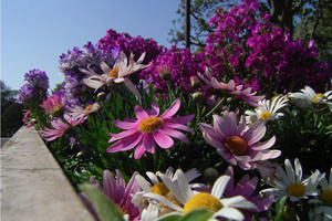 f:id:goldhead:20090410095334j:image:left