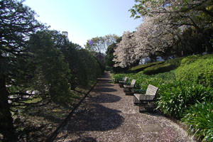 f:id:goldhead:20090410095337j:image:left