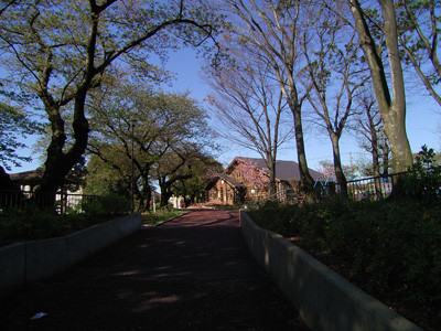 f:id:goldhead:20090415093931j:image