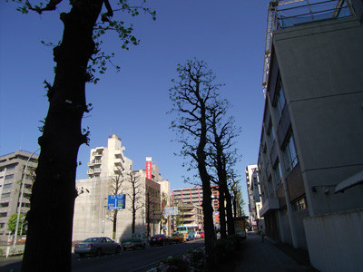 f:id:goldhead:20090416202946j:image