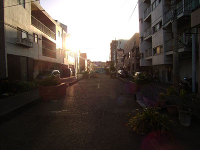 f:id:goldhead:20090428103147j:image:left