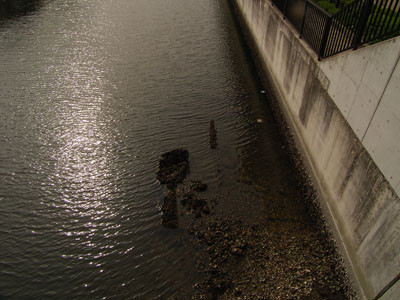 f:id:goldhead:20090428175651j:image