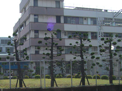 f:id:goldhead:20090430153708j:image:left f:id:goldhead:20090430153708j:image:left