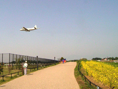 f:id:goldhead:20090502191411j:image:left