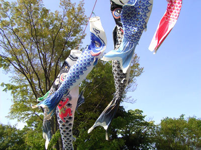 f:id:goldhead:20090502191417j:image:left