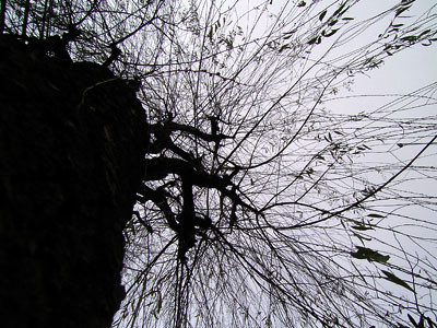 f:id:goldhead:20090514165330j:image f:id:goldhead:20090514165330j:image