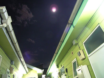 f:id:goldhead:20090514165331j:image f:id:goldhead:20090514165331j:image