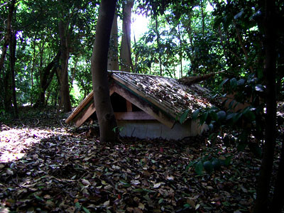 f:id:goldhead:20090514165335j:image f:id:goldhead:20090514165335j:image