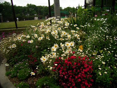 f:id:goldhead:20090517180649j:image