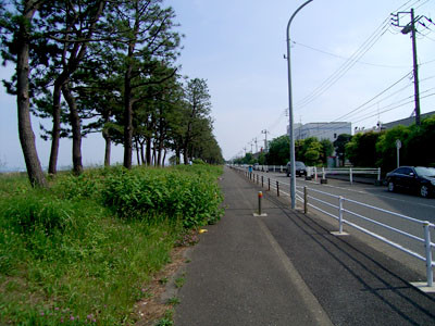 f:id:goldhead:20090523171944j:image
