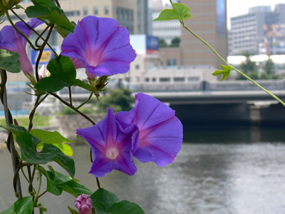 f:id:goldhead:20090629130419j:image f:id:goldhead:20090629130419j:image