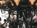 20090629130430