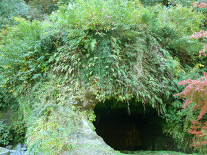 f:id:goldhead:20090702125407j:image