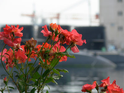 f:id:goldhead:20090712132324j:image:left f:id:goldhead:20090712132324j:image:left