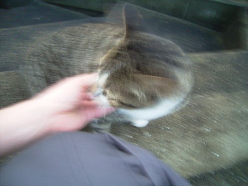 f:id:goldhead:20090725134414j:image
