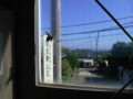 20090726195045