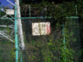 20090727161319