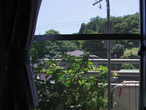 f:id:goldhead:20090729010349j:image f:id:goldhead:20090729010349j:image