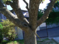 20090730000538