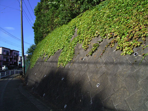 f:id:goldhead:20090730000552j:image