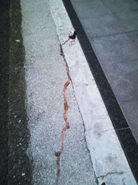 f:id:goldhead:20090815133453j:image