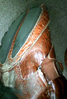 f:id:goldhead:20090817105800j:image:left
