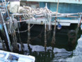 20090817125033