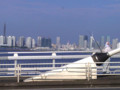 20090817125039
